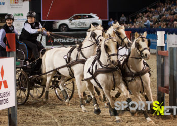 Gespannfahren beim K+K Cup 2018
