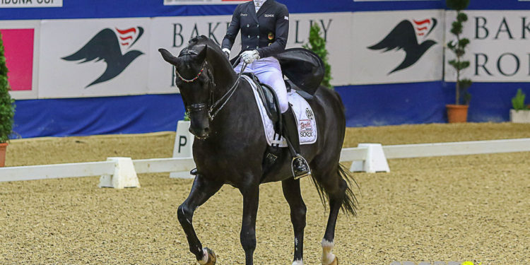 Signal Iduna Cup: Desperados is back