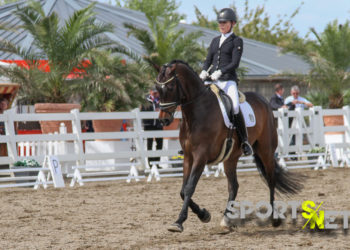 Bundeschampionat: Junge Dressurpferde für Warendorf qualifiziert