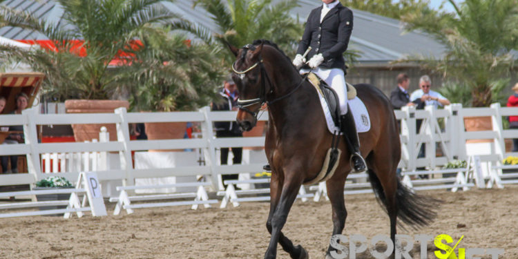 Bundeschampionat: Junge Dressurpferde für Warendorf qualifiziert