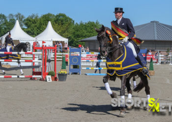 Bundeschampionat: Deutscher Meister der Berufsreiter ermittelt