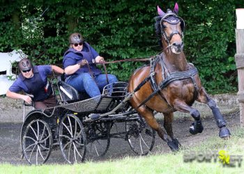 Vorstellung: Fahrturnier