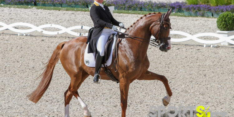 CHIO Aachen: Zweiter Start, zweiter Sieg für Bella Rose