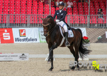 Münster: Klimkes Franziskus siegt mit Hengstmarnieren