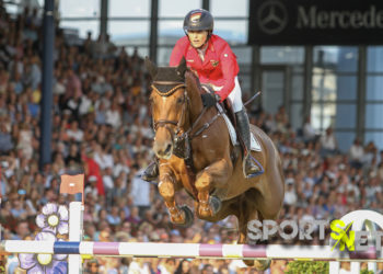 Zusammengefasst: Weltreiterspiele Tryon