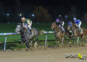 Galopprennen auch über Weihnachten