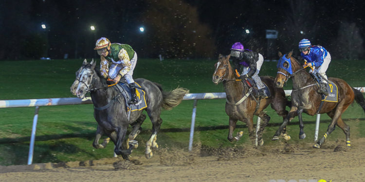Galopprennen auch über Weihnachten