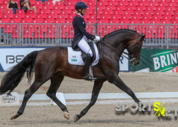Franziskus glänzt unter Flutlicht