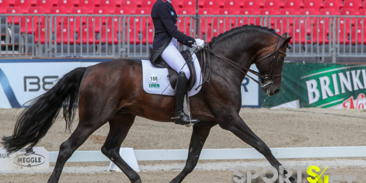 Franziskus glänzt unter Flutlicht