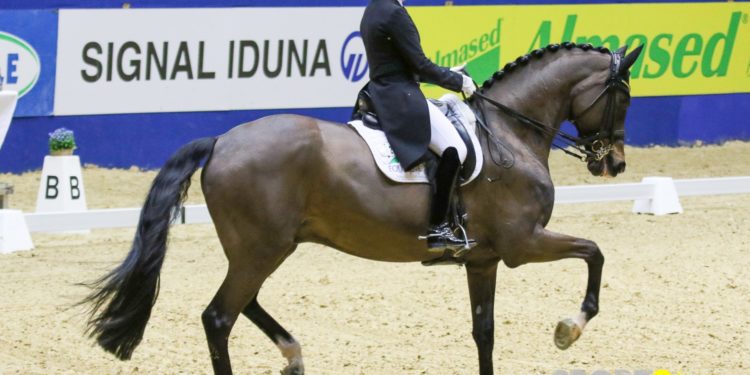 Dorothée Schneider mit Faustus