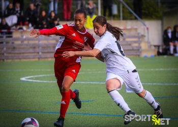 Harburgerinnen in erster Liga angekommen