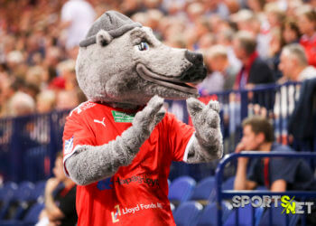 Flensburg siegt im Nordderby