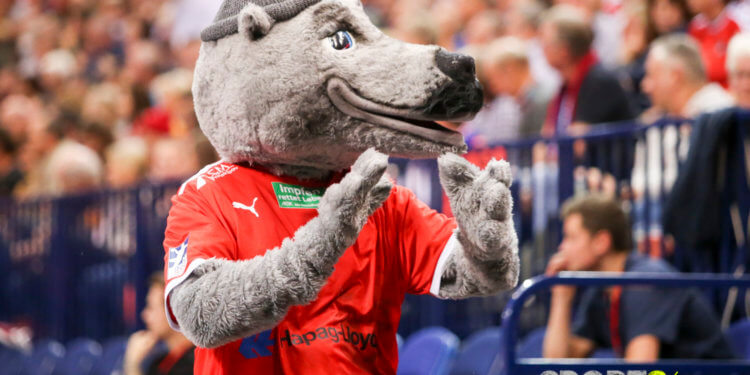 Flensburg siegt im Nordderby