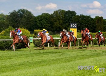 Galopprennsport – Ein Blick hinter die Kulissen