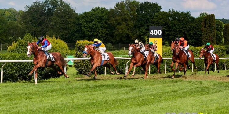 Galopprennsport – Ein Blick hinter die Kulissen