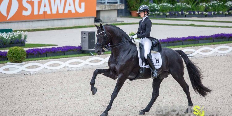 Charlotte Fry (GBR) mit Glamourdale im Havens Pferdefutterpreis beim CHIO Aachen