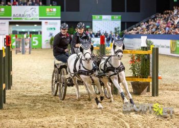 Larissa Reints siegt erneut beim Hindernissfahren der Zweierponygespanne