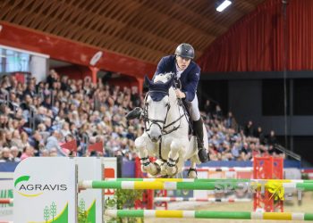 Gerben Morsink (NED) mit Corthago Z im Preis der LVM Versicherung | Championat von Muenster, Springpruefung Kl. S*** mit Stechen - 150 cm, 2. Qualifikation zum Grossen Preis von Muenster