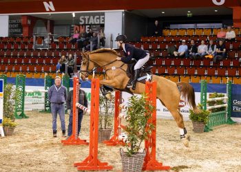 Felix Merschformann und Diego M 4 bleiben als Startpaar für den Kreisreiterverband Coesfeld ohne Fehler.(Foto: AGRAVIS Raiffeisen AG)