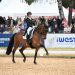 Jessica von Bredow-Werndl & Times Kismet: Auch in München ist`s die Goldene Schleife im Grand Prix der CDI 5*-Tour – Preis der iWEST Tierernährung. Foto von Hubert Fischer