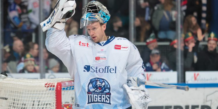Hendrik Haukeland (Straubing Tigers) im Spiel gegen die Iserlohn Roosters am 25.1.2026 (Foto: Jenny Musall)