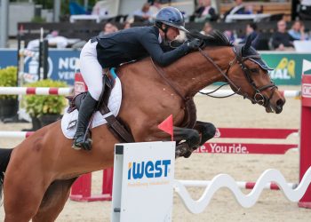 Elisabeth Meyer mit Let it Shine auf dem Longines Balve Optimum (Foto: Sebastian Sendlak)