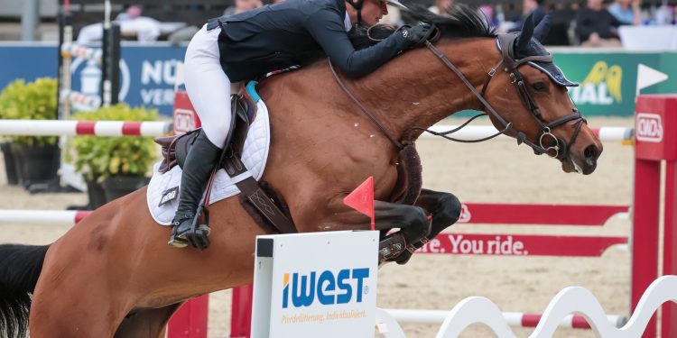 Elisabeth Meyer mit Let it Shine auf dem Longines Balve Optimum (Foto: Sebastian Sendlak)