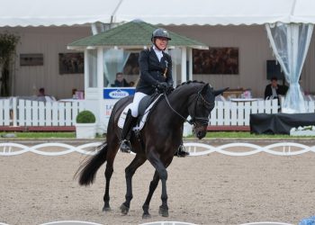 Heidemarie Dresing mit Poesie auf dem Longines Balve Optimum im Rahmen der Deutschen Meisterschaften der Para-Dressur (Foto: Jenny Musall)