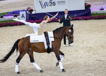 Guter Start für die deutschen Voltigierer bei der FEI Vaulting World Championship: Nach der ersten von drei Prüfungen liegt Alice Layher bei den Damen in Führung. (Foto: ALRV/Jasmin Metzner)